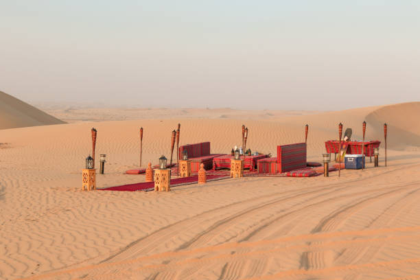 Day 3: Dubai Desert Safari with Barbecue Dinner and Entertainment